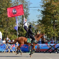 DSC_0302 (2).jpg
